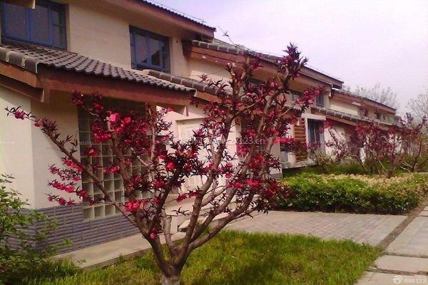 別墅室內(nèi)設(shè)計(jì) 別墅室內(nèi)設(shè)計(jì)