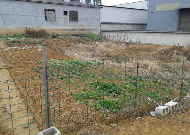 農(nóng)村自建別墅 農(nóng)村自建別墅