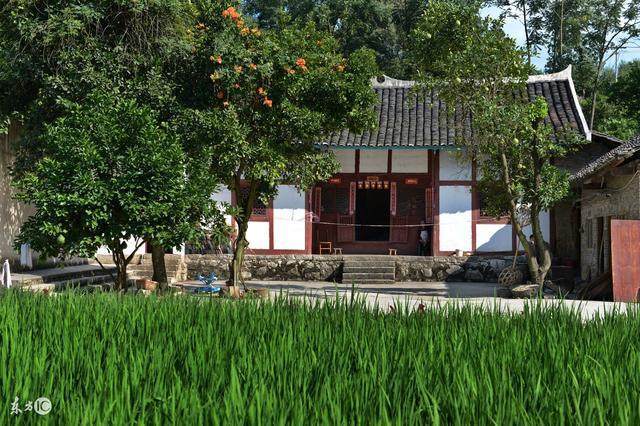 農村自建住宅 農村自建住宅